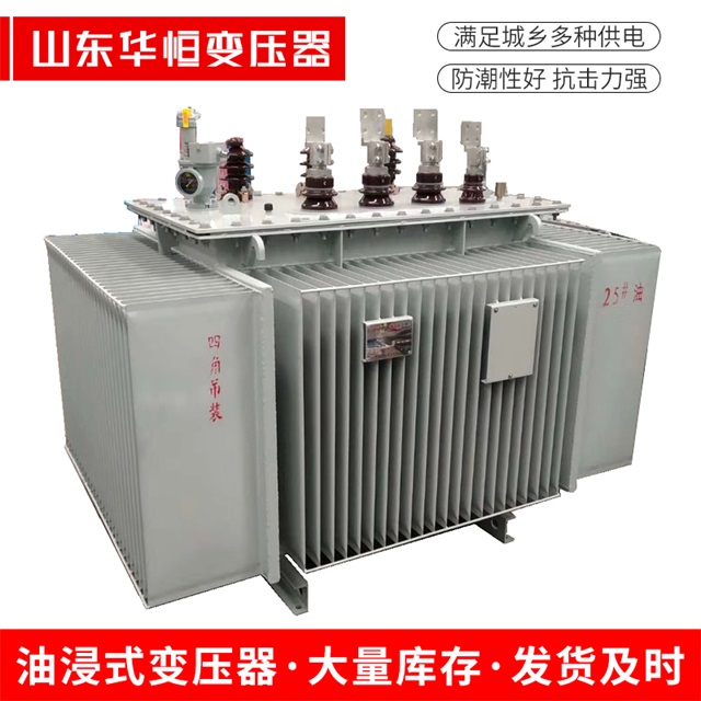 S13-10000/35向阳向阳向阳电力变压器厂家