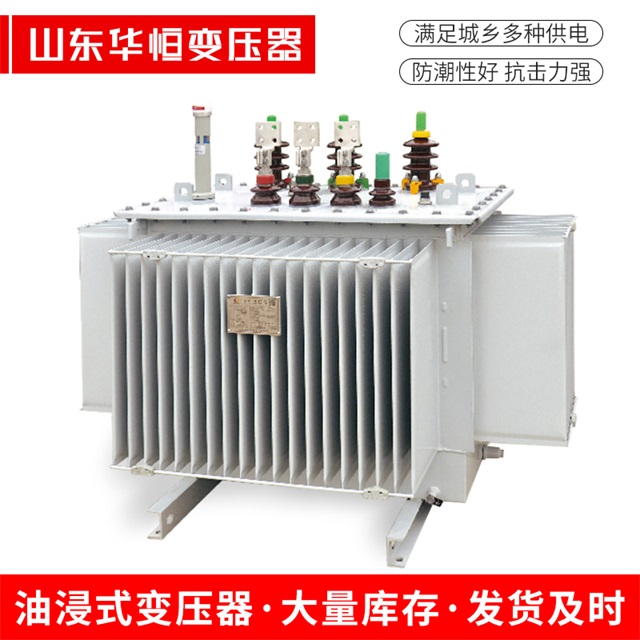 S13-10000/35向阳向阳向阳电力变压器